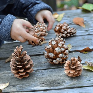 Nature Inspired Crafts for Kids: Fun & Creative DIY Ideas child creating animals out of pinecones 