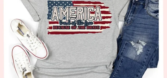 Celebrate July 4th with Patriotic Crafts America Land of the Free, Because of the Brave PNG